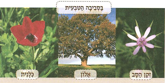 (בספר איור של נוגה ושביט משוחחים)